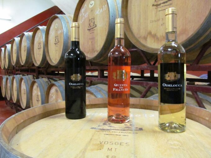 Silves, Caldas and Monchique Wine Tasting: Full Day Tour - Local Winery Experience