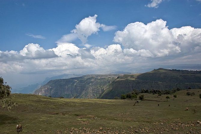 Simien Mountains – 4 Days - Transportation and Pickup Details