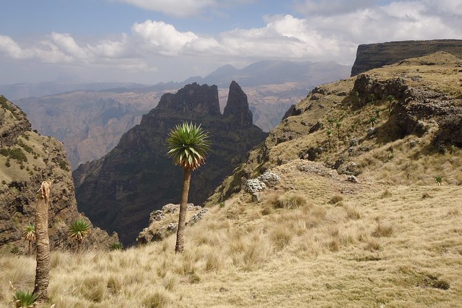 Simien Mountains National Park – 7 Day Trek - About the Tour Company