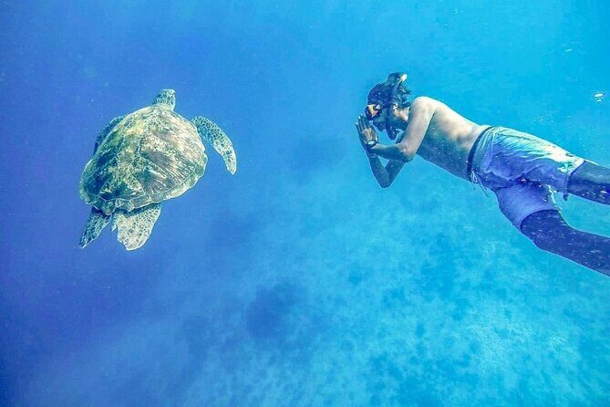 Similan Islands Day Tour from Phuket and Khaolak - Final Thoughts: Who Should Join?