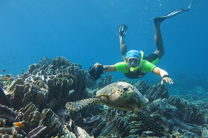 Similan Islands Day Trip by Speedboat From Phuket - Relaxation on White-Sand Beaches