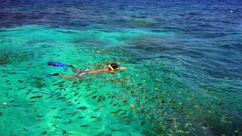 Similan Islands Early-Bird Tour From Phuket and Khao Lak! - Key Points