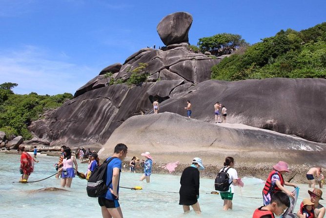 Similan Islands Full-Day Tour From Phuket With Lunch (Sha Plus) - Customer Feedback and Experience