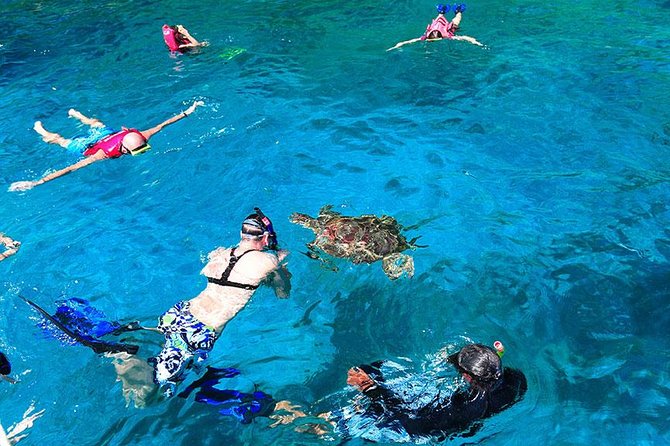 Similan Islands One Day Tour From Khao Lak - Experience and Reviews
