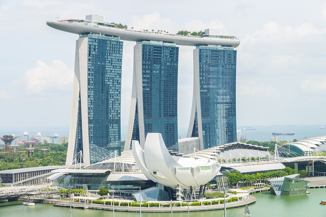 Singapore: 4 Hours - Private Car or Minibus Rental With Driver - Customer Ratings