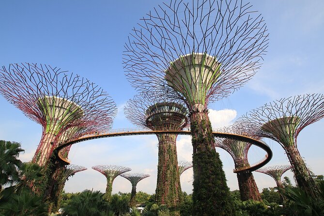 Singapore: 4 Hours - Private Car or Minibus Rental With Driver - Pickup and Cancellation