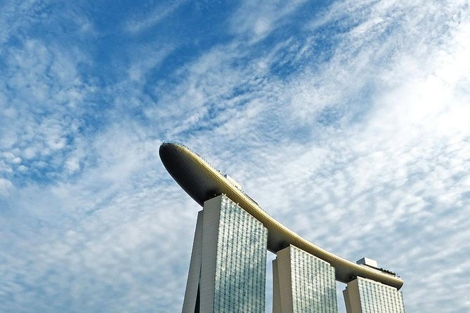 Singapore: 8 Hours - Private Car or Minibus Rental With Driver - Overview and Package Details