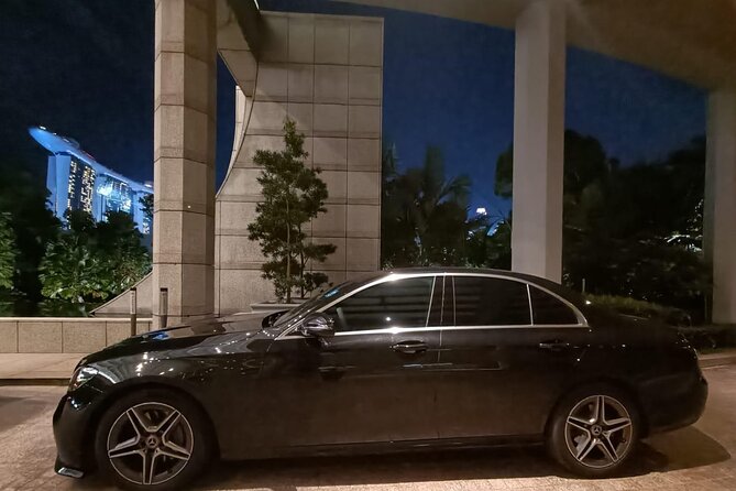 Singapore: Airport/Seaport Arrival Transfer + Meet & Greet - Pricing Details