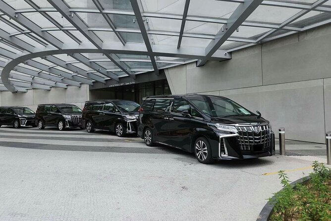 Singapore: Airport/Seaport Arrival Transfer + Meet & Greet - Accessibility Information