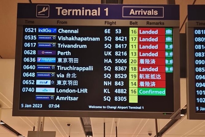 Singapore: Airport/Seaport Arrival Transfer + Meet & Greet - Safety Measures