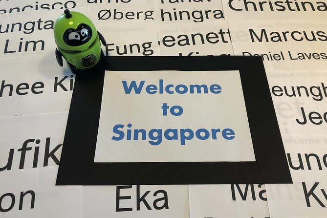 Singapore Arrival Ground Transfer in Limo-Bus - Accessibility and Participation