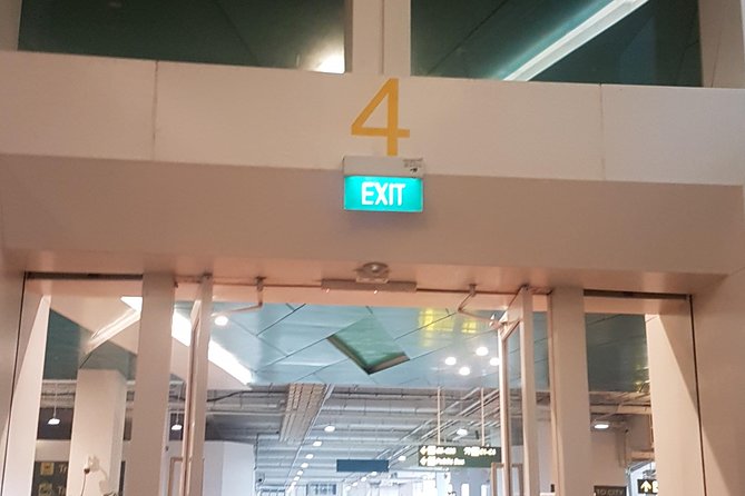 Singapore Arrival on Cruise Transfer to Hotel / Airport - Vendor Information and Suggestions