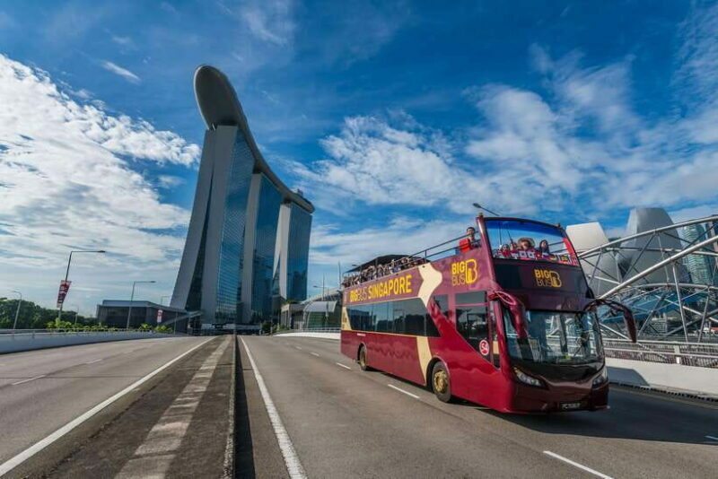 Singapore: Big Bus Hop-On Hop-Off Tour by Open-Top Bus - The Night Tour: An Unforgettable Evening