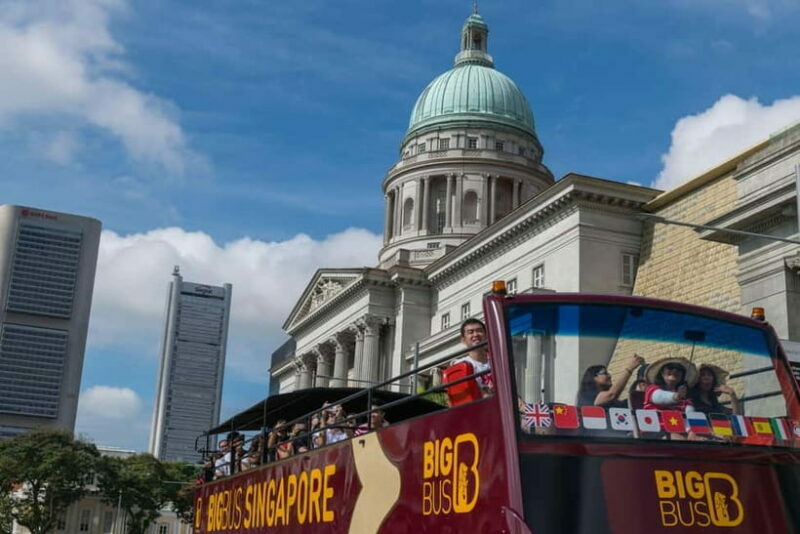 Singapore: Big Bus Hop-On Hop-Off Tour by Open-Top Bus - What Travelers Say: Authentic Experiences and Practical Tips