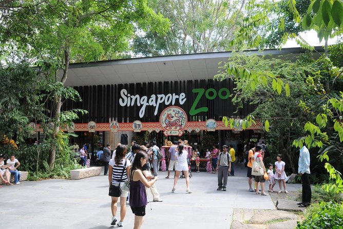 Singapore Bird Paradise & Zoo Full Day (Ticket & Transfer ) - Jurong Bird Park Visit