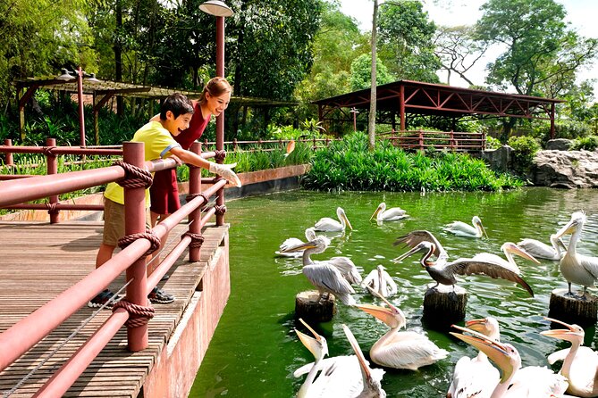 Singapore Bird Paradise & Zoo Full Day (Ticket & Transfer ) - Inclusions and Exclusions
