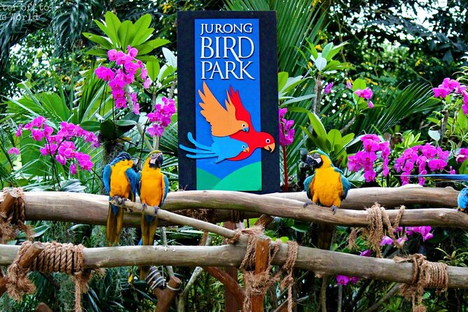 Singapore Bird Paradise & Zoo Full Day (Ticket & Transfer ) - Important Information