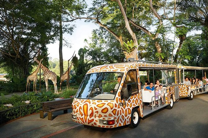 Singapore Bird Paradise & Zoo Full Day (Ticket & Transfer ) - Customer Reviews and Pricing