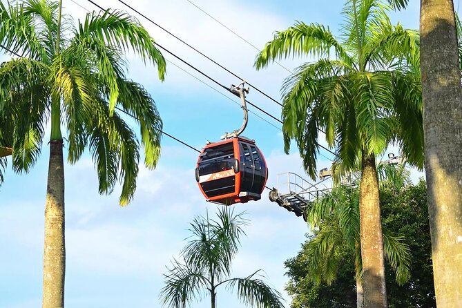 Singapore Cable Car - Overview and Admission Details