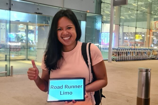 Singapore Changi Airport Arrival Transfer - Vehicle and Driver Information