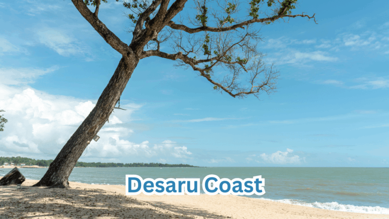 Singapore Changi Airport (SIN) to Desaru Malaysia - Inclusions and Additional Information