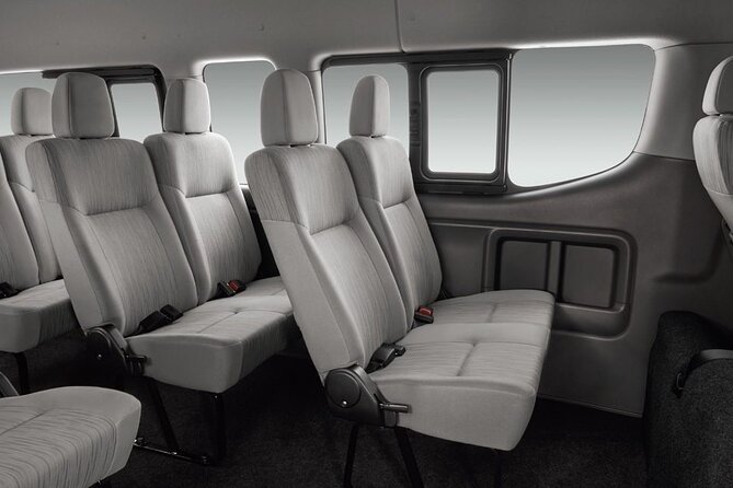 Singapore Escorted Tours - Private Car Charter in Singapore - Accessibility and Participation
