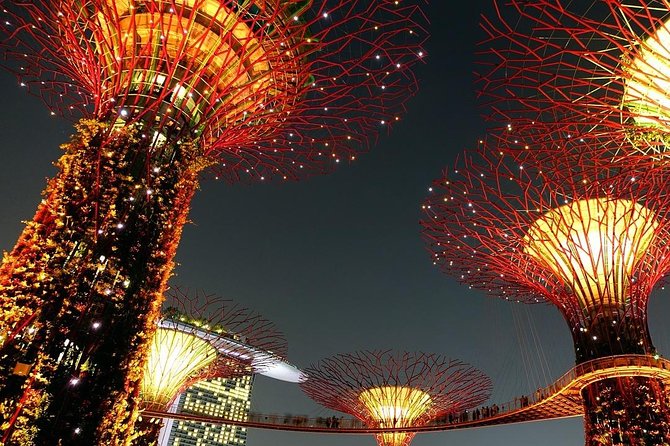 Singapore: Gardens by the Bay Admission E-Ticket - Featured Attractions
