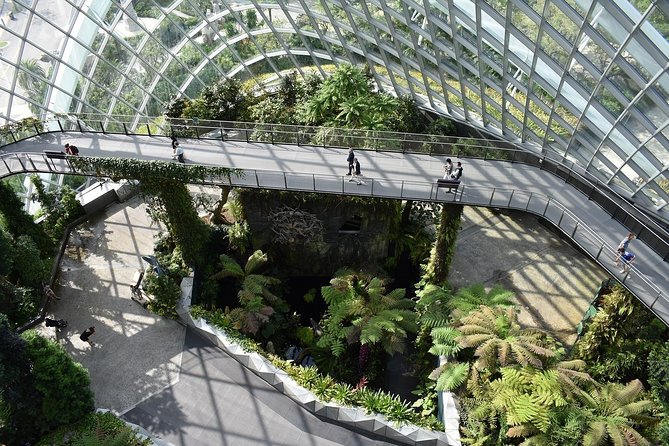 Singapore: Gardens by the Bay Admission E-Ticket - Visitor Experiences and Recommendations