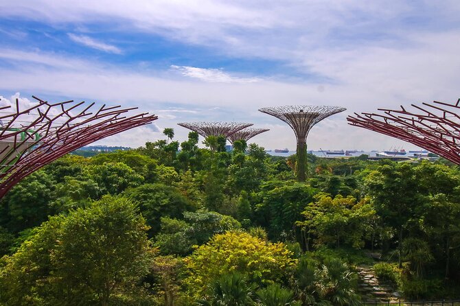Singapore: Gardens By The Bay Admission Ticket - Ticket Details and Availability