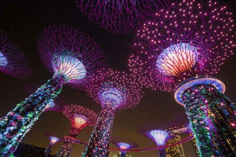 Singapore: Gardens by the Bay Bundle Entry Ticket - Introduction
