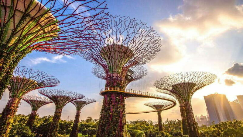 Singapore: Gardens by the Bay Bundle Entry Ticket - Final Thoughts: Who Should Consider This Experience?