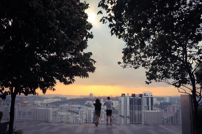 Singapore Group History & Culture Tour:River Cruise, Hawker Dinner & Tea Tasting - Explore Singapores Present