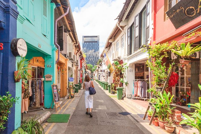 Singapore Half Day Tours by Locals: Private, See the City Unscripted - Exploring Highlights and Hidden Gems