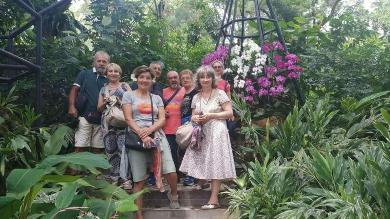 Singapore: Highlights & Hidden Gems Walking Tour - A Closer Look at the Tour Experience