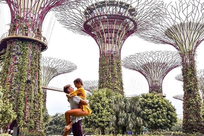 Singapore Instagram Tour By Car (Private & All-Inclusive) - Gardens By the Bay