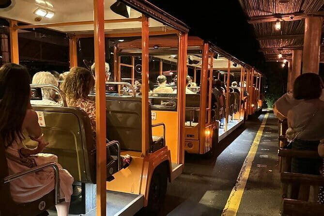 Singapore Night Safari - A Detailed Look at the Night Safari Experience