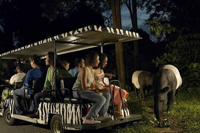 Singapore: Night Safari Entry Ticket - Getting to the Night Safari