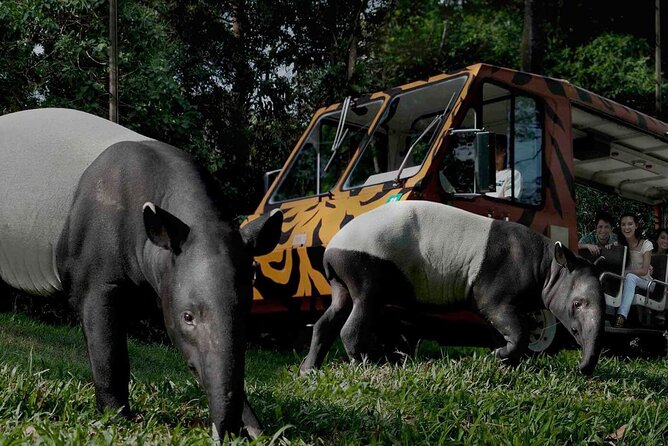 Singapore: Night Safari Entry Ticket - Park Hours and Experiences