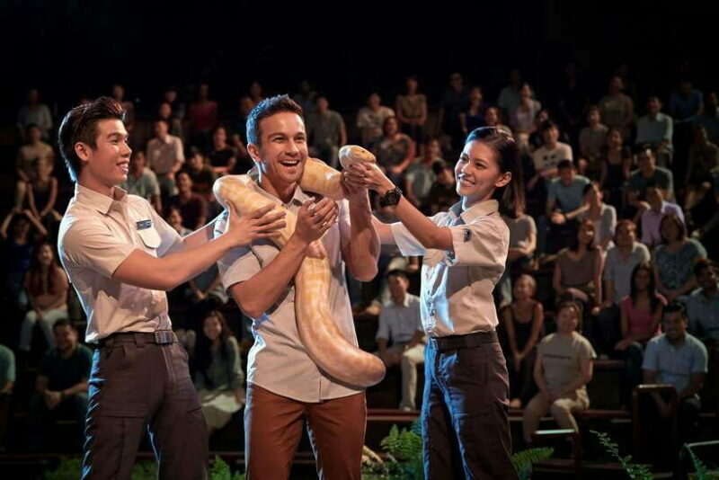 Singapore: Night Safari Singapore w/ Tram - Practical Tips for Visitors