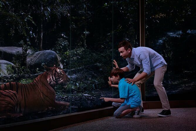 Singapore Night Safari Ticket Experience - Practical Tips for Visiting