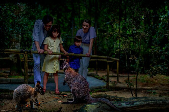 Singapore Night Safari Ticket Experience - The Verdict: Who Should Visit?