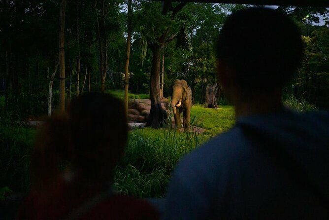 Singapore Night Safari Ticket Experience - Frequently Asked Questions