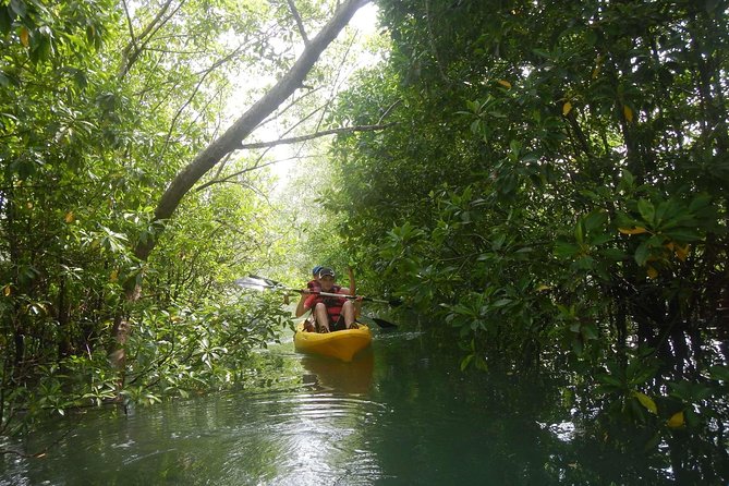 Singapore Paddle to Pedal Adventure in Pulau Ubin - Transportation Details
