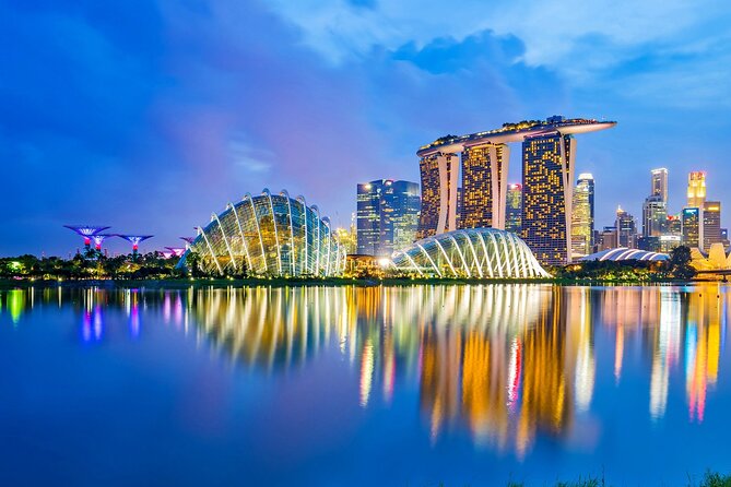 Singapore Panoramic Sightseeing Private Tour With River Cruise - Reflecting on Little India