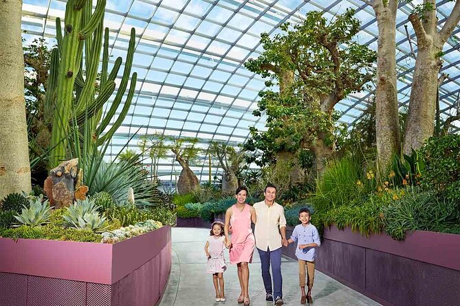 Singapore Pass With 40+ Attractions Including Universal Studios - Practical Details for Travelers