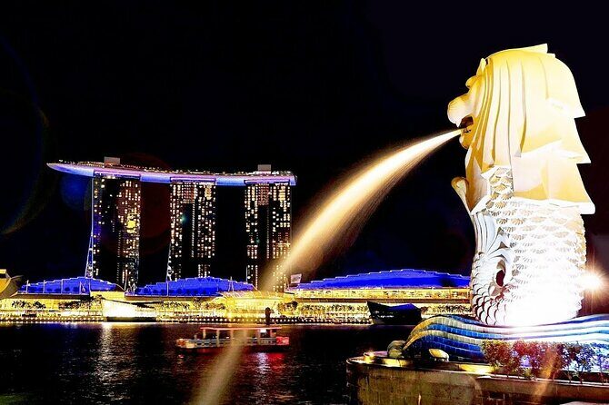 Singapore Private Customized City Tour with Driver - The Sum Up
