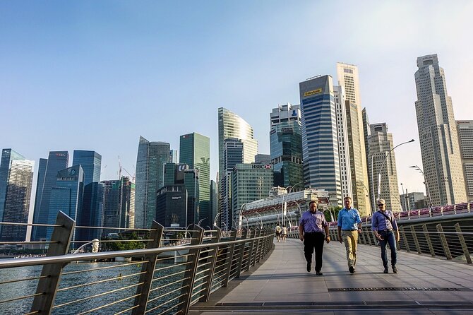 Singapore Private Full-Day Sightseeing Tour - Gardens by the Bay