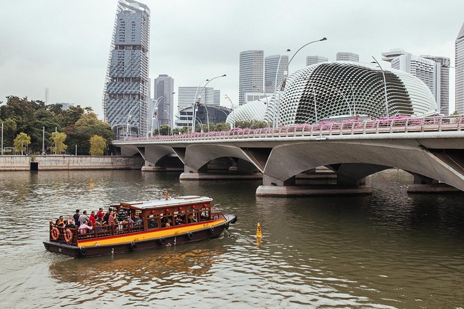 Singapore PRIVATE TOUR: Highlights & Hidden Gems by CAR or Foot - Explore the City