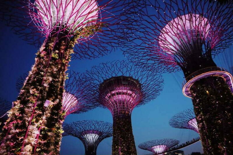 Singapore: Private Tour with a Local Guide - Exploring the Main Sights
