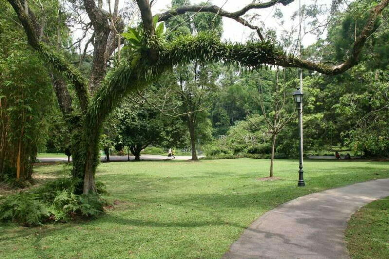 Singapore: Private Tour with a Local Guide - Hidden Gems and Offbeat Finds